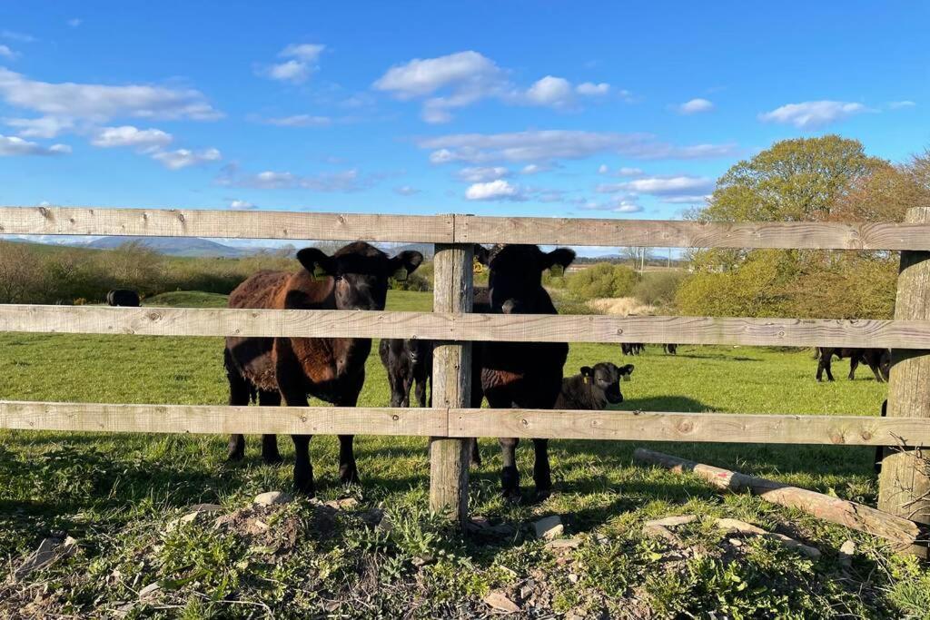 Galloway Farmstay Broughton Newton Stewart Luaran gambar