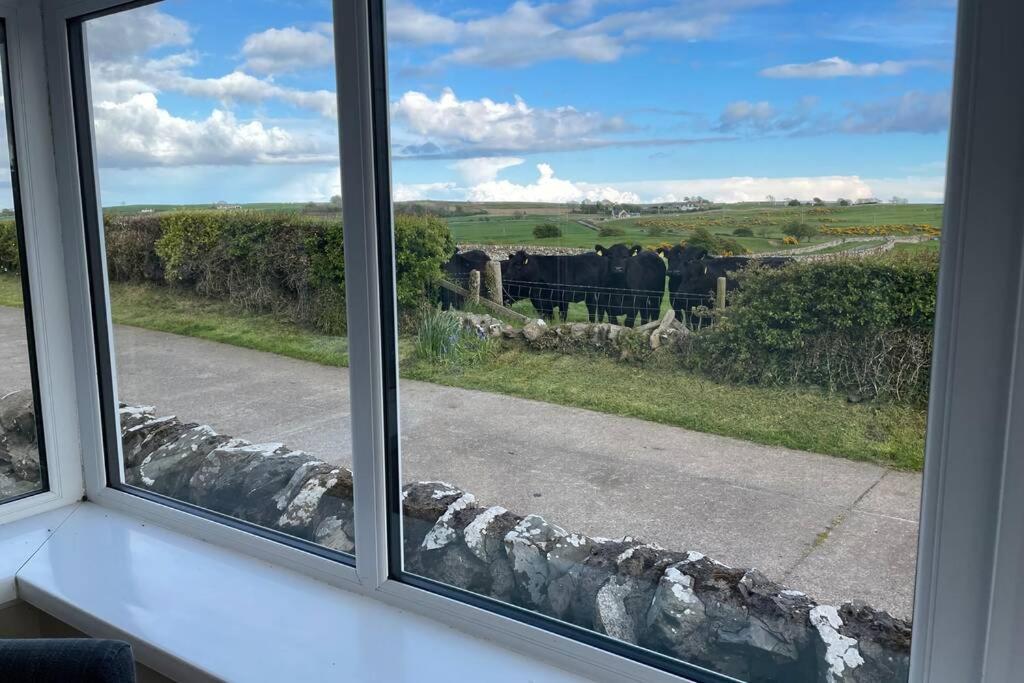 Galloway Farmstay Broughton Newton Stewart Luaran gambar